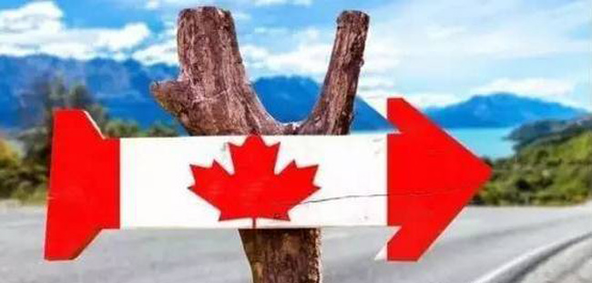 加拿大好移民专业，探索移民之路的热门专业选择