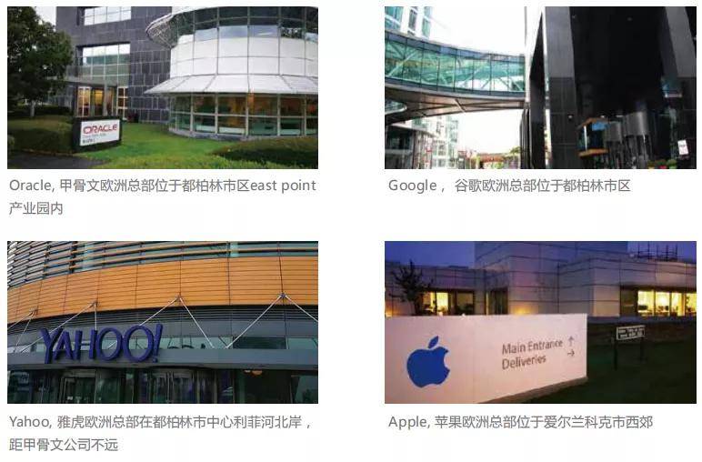 爱尔兰的移民专业，探索移民与职业发展的交汇点
