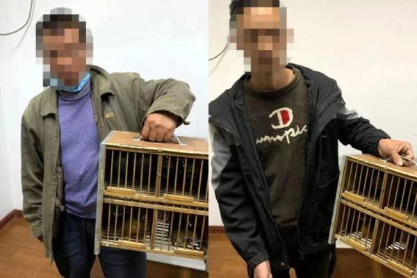 钩鞋与两只鸟的图案，一种时尚与文化的交融