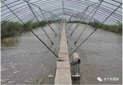 南通如东养虾大棚出租，开启高效水产养殖新篇章