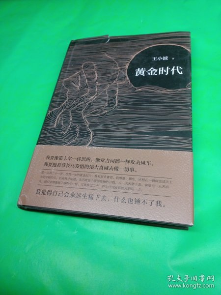 黄金时代txt，探索文学的魅力与数字时代的变革