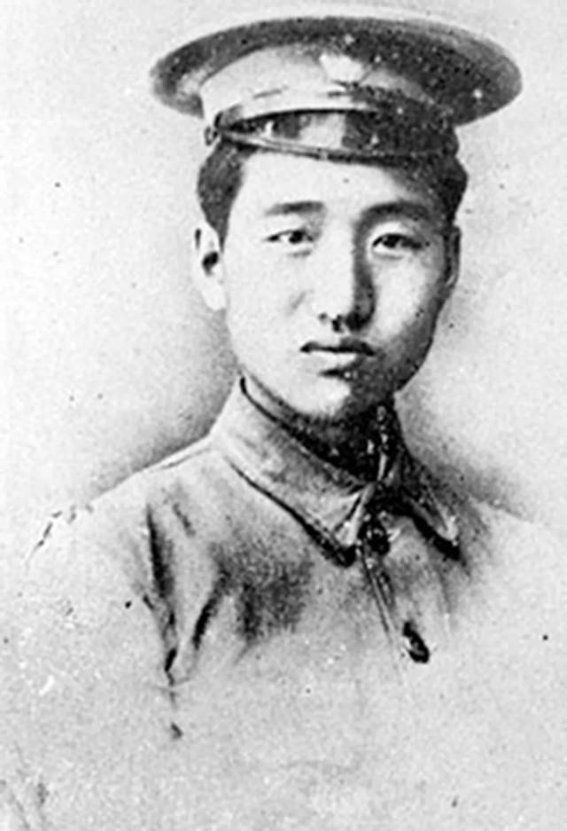 徐向前元帅待遇，荣耀与尊重的象征