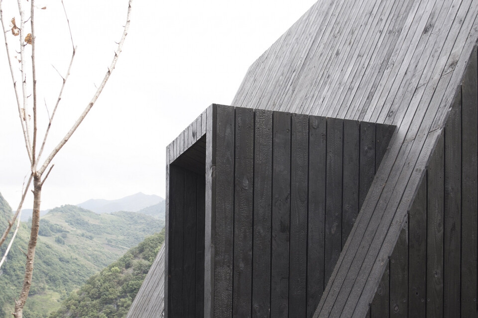 贵州木纹，自然之美与文化的融合（Guizhou Wood Grain: The Fusion of Natural Beauty and Culture）
