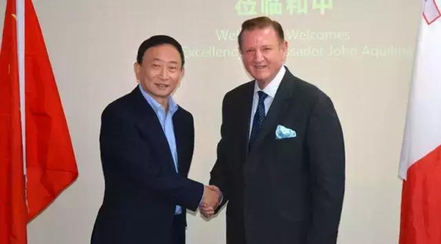 移民条件与专业公司的深度解析