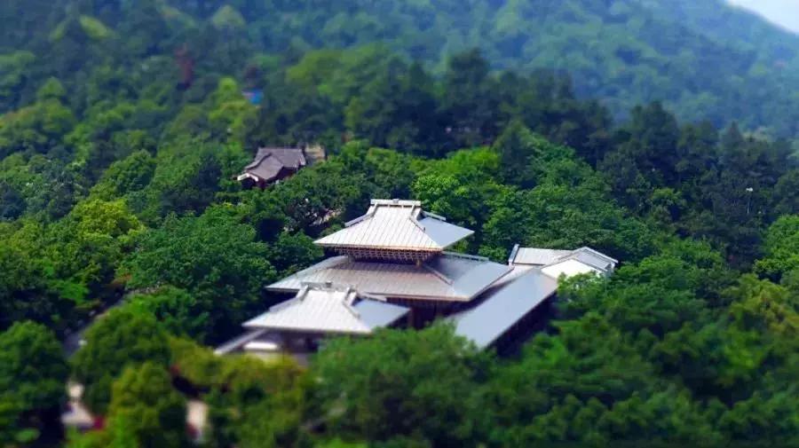 界面设计分析，从细节到全局的洞察
