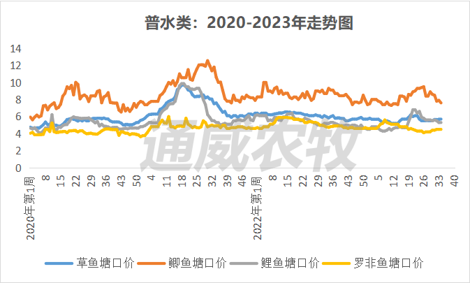 大棚白对虾价格表及其市场分析
