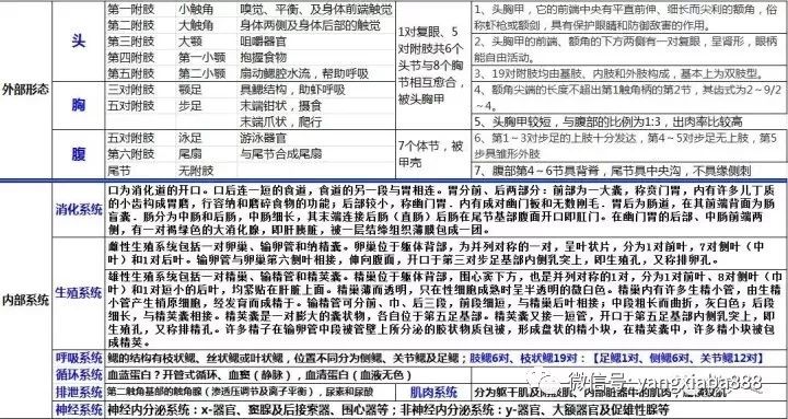 如东养虾大棚老板赚钱吗？——探究养虾产业的盈利之道