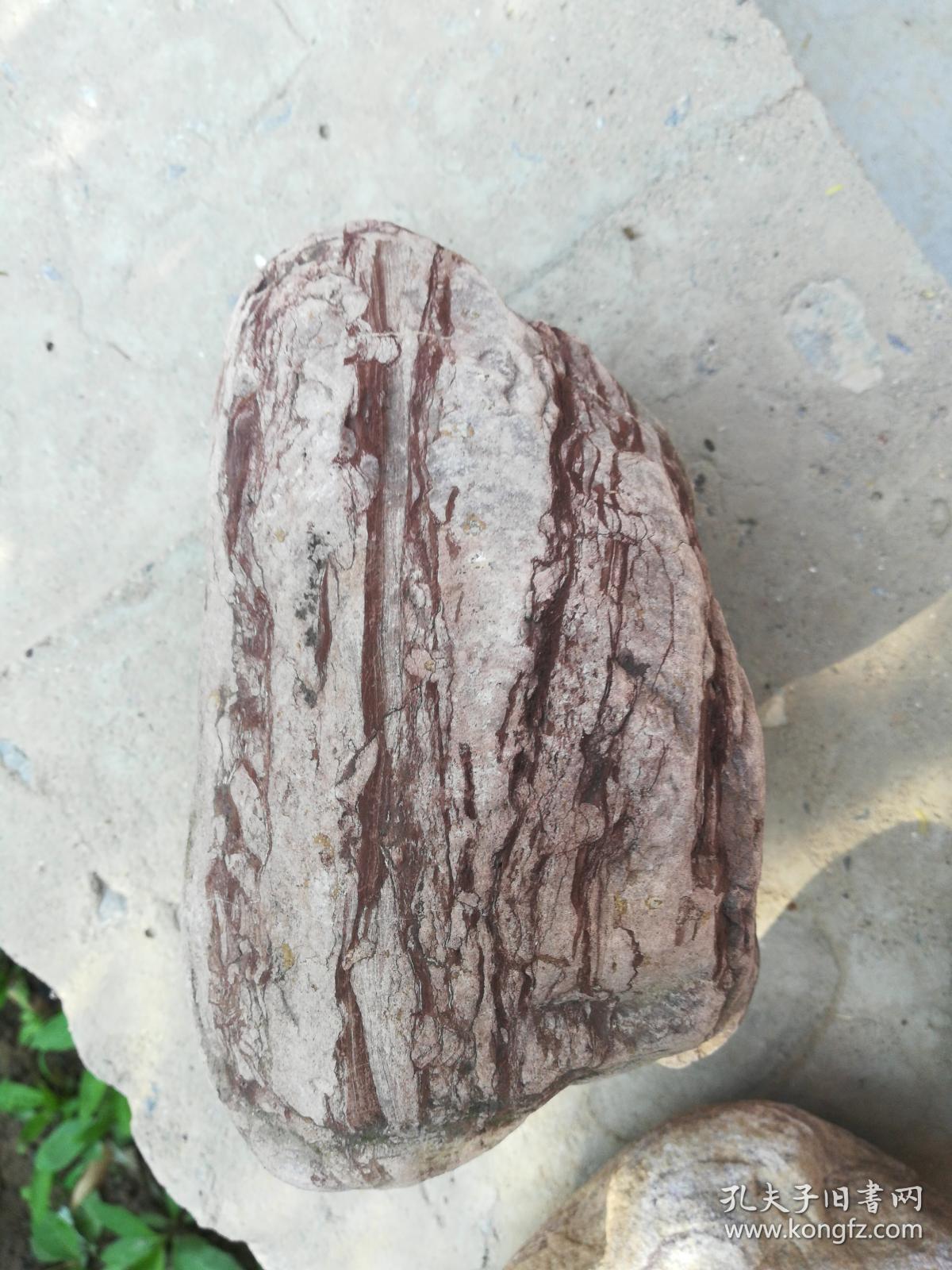 木纹石原石图片，自然之美的独特展现