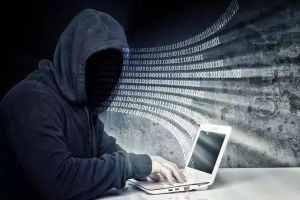 新西兰留学移民专业IT，探索计算机科技领域的黄金机会