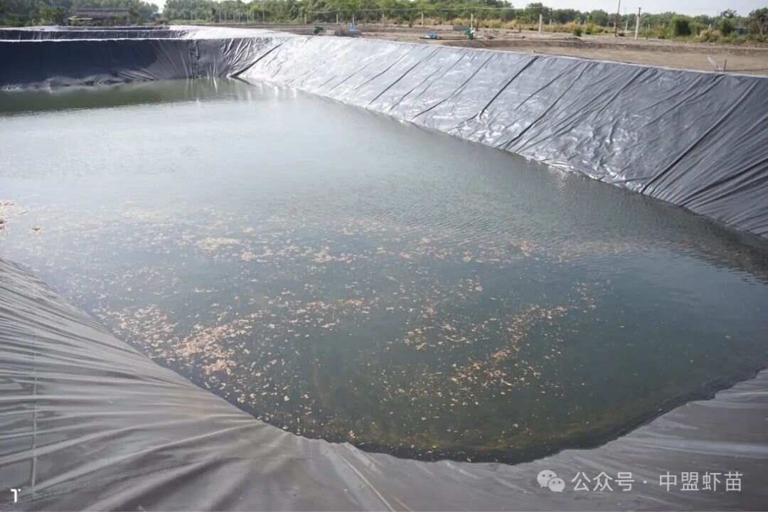 大棚养虾水面油膜处理，技术探讨与实践