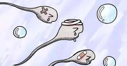 取卵腹水不抽，一种更为自然的应对策略