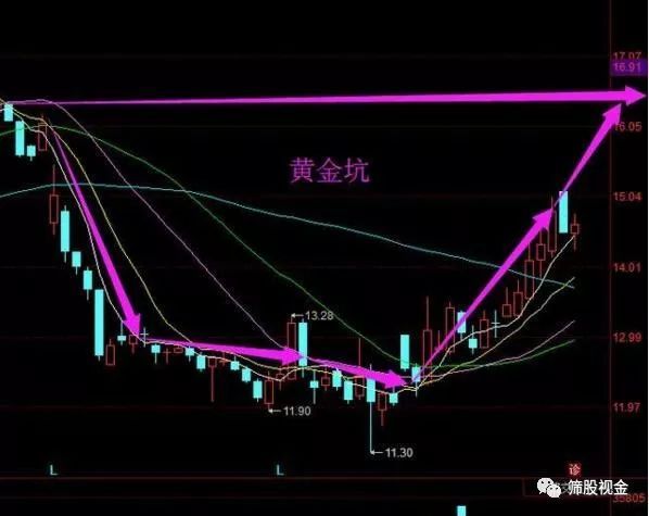 绿篱品种价格及其市场趋势分析