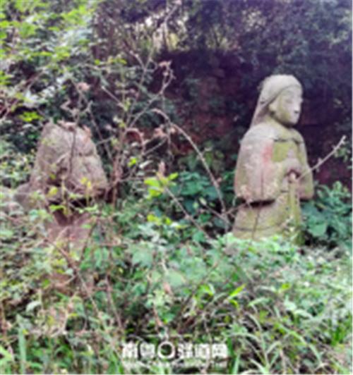 武汉山道健身，体验自然与健康的完美融合