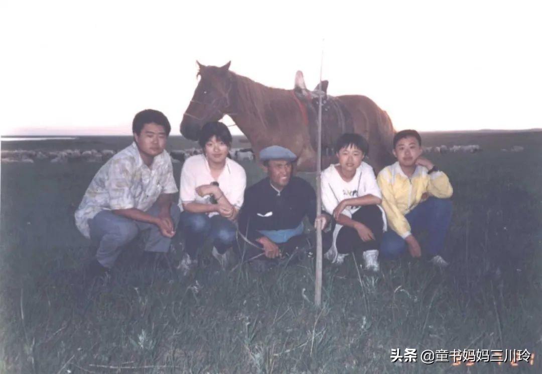 野花组合品种的魅力与多样性