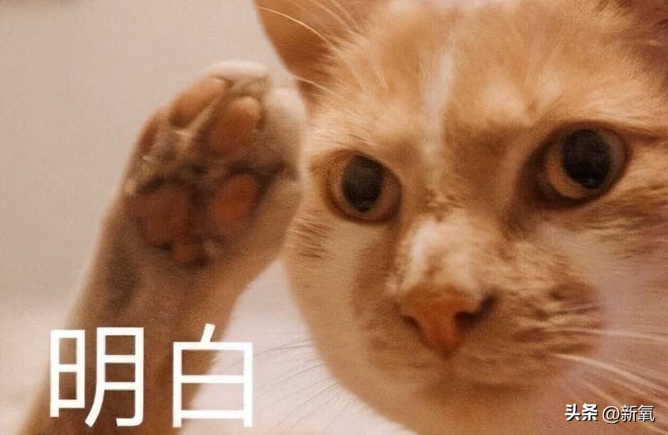 取卵后发烧对移植的影响及应对措施