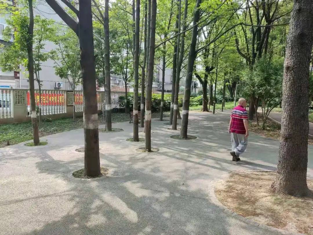 公安检查站提醒戴口罩语音MP3，守护健康，传递关怀