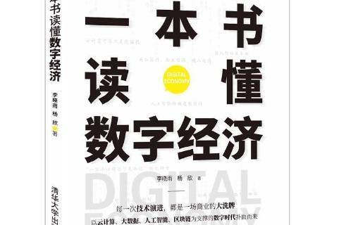 电子书经济学一本通，探索数字时代的经济新领域