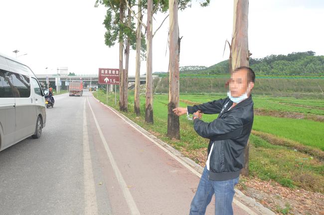 Ti4决赛阵容，巅峰之战的英雄组合