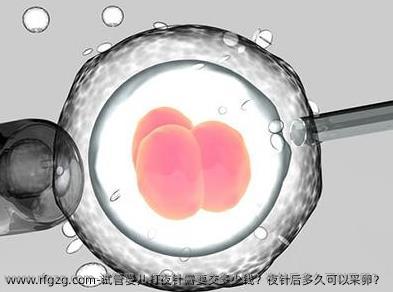 试管夜针后几天取卵，全面解析试管婴儿取卵流程与注意事项