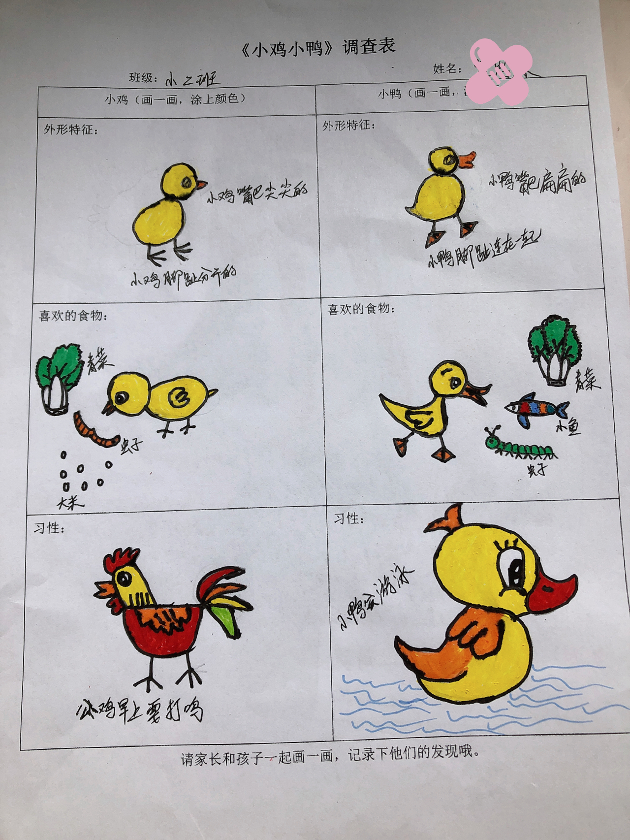 小鸡和小鸭美术教案