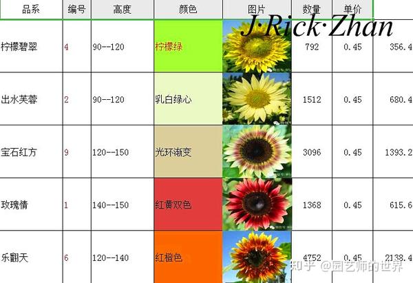 关于向日葵品种与价格的研究，哪些向日葵品种价格高？