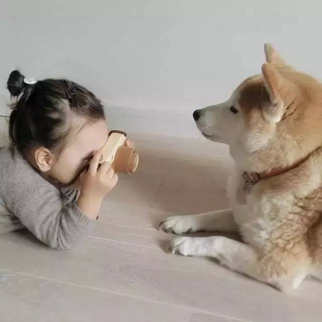 真假混血，探寻多元融合的世界