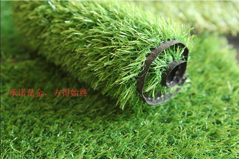 草皮品种价格及其市场分析