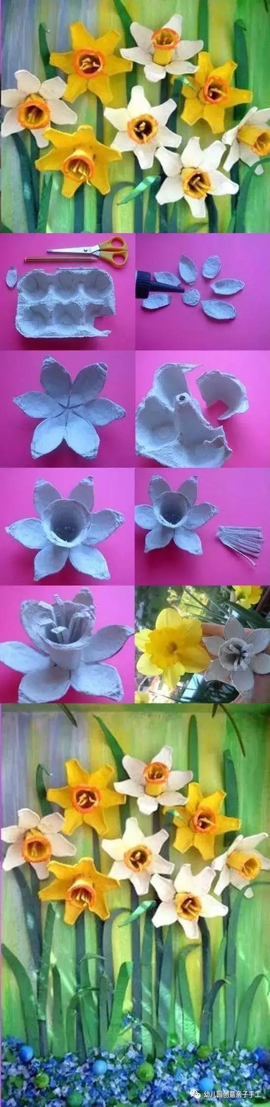 鸡蛋花的介绍