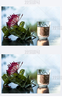FlowerColor验真假——揭示真假花卉颜色的秘密