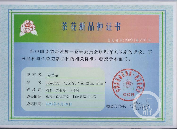 苗木新品种认证证书的重要性及其应用