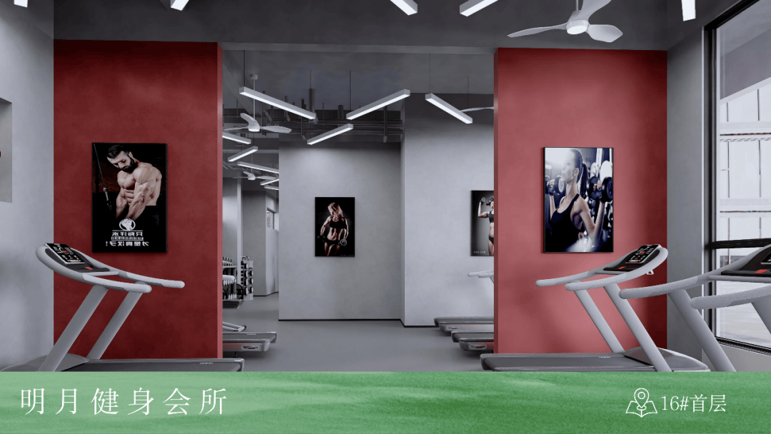 金力健健身，塑造健康生活的卓越力量