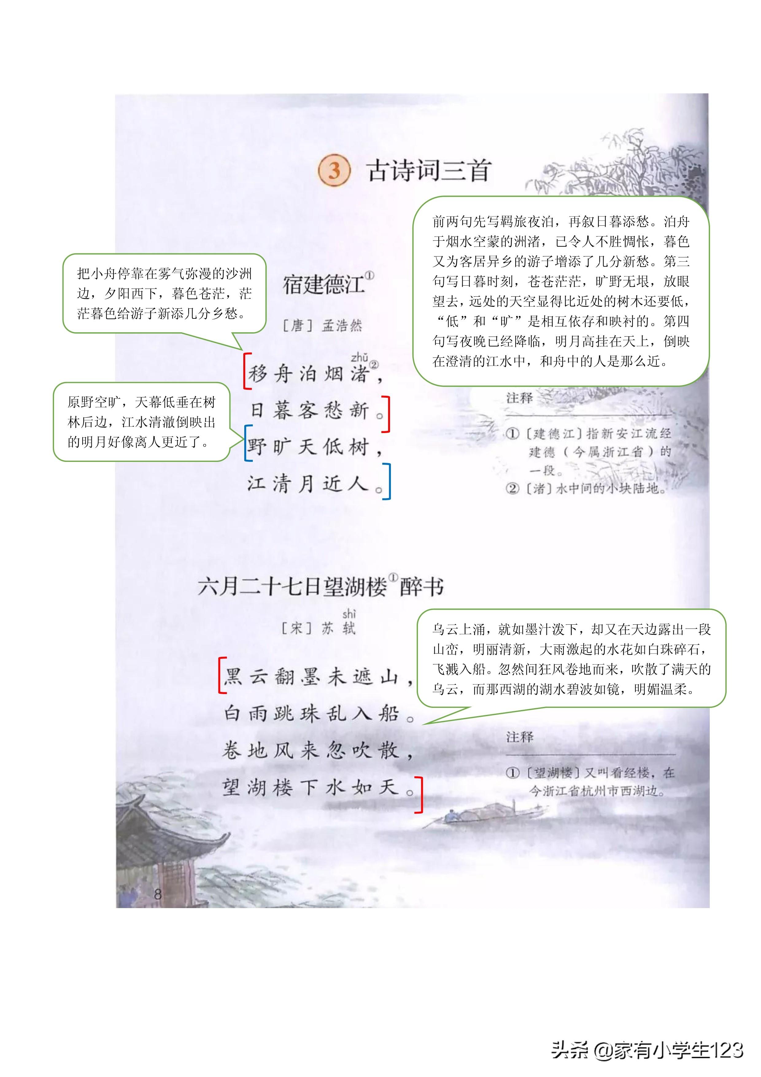 六年级语文一本通答案解析与探讨