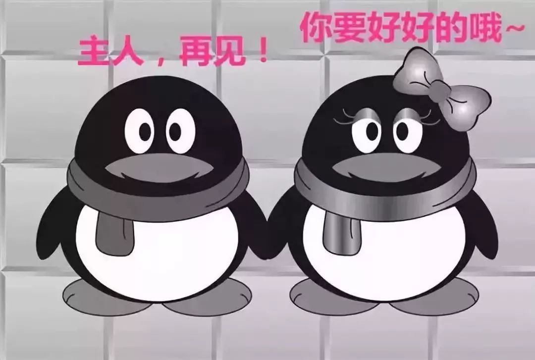 姆Q与QQ表情包，数字时代的情感交流新风尚