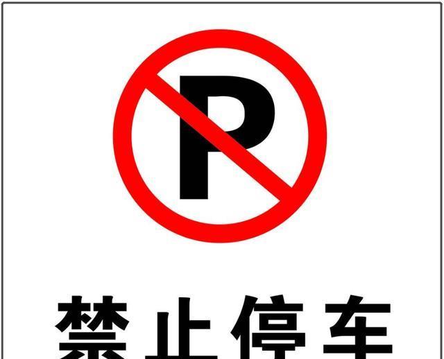 严禁泊车图标，交通秩序与安全的守护者