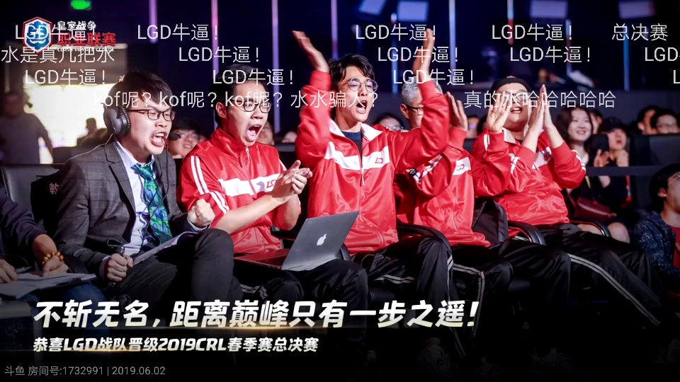 LGD夺冠阵容，英雄荣耀与团队协作的巅峰之战
