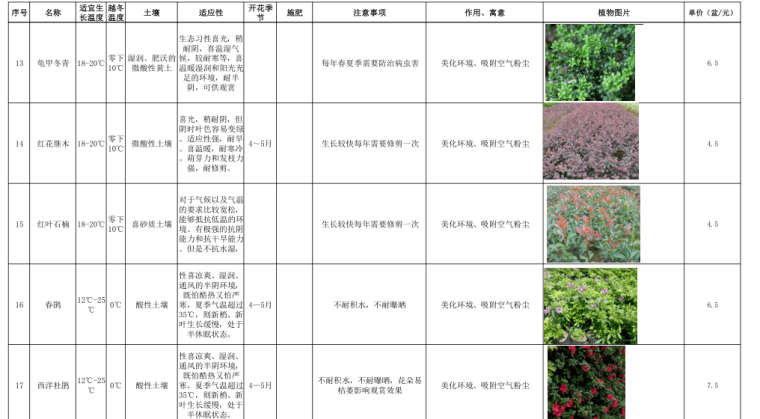 品种优良的风景树苗价格及其市场趋势分析