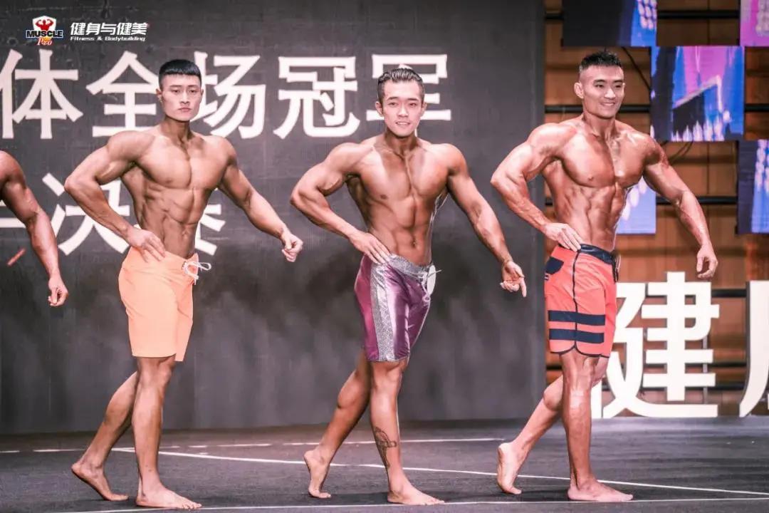 菲特尼斯健身，塑造健康生活的理想之选