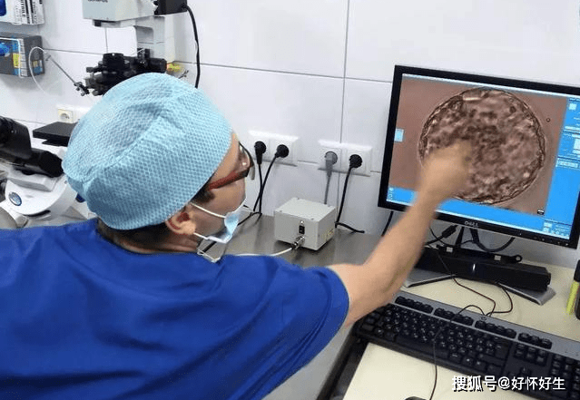 关于取卵后何时移植的探讨